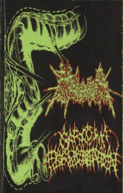 Sarcoma Fermentation : Malaria - Sarcoma Fermentation
